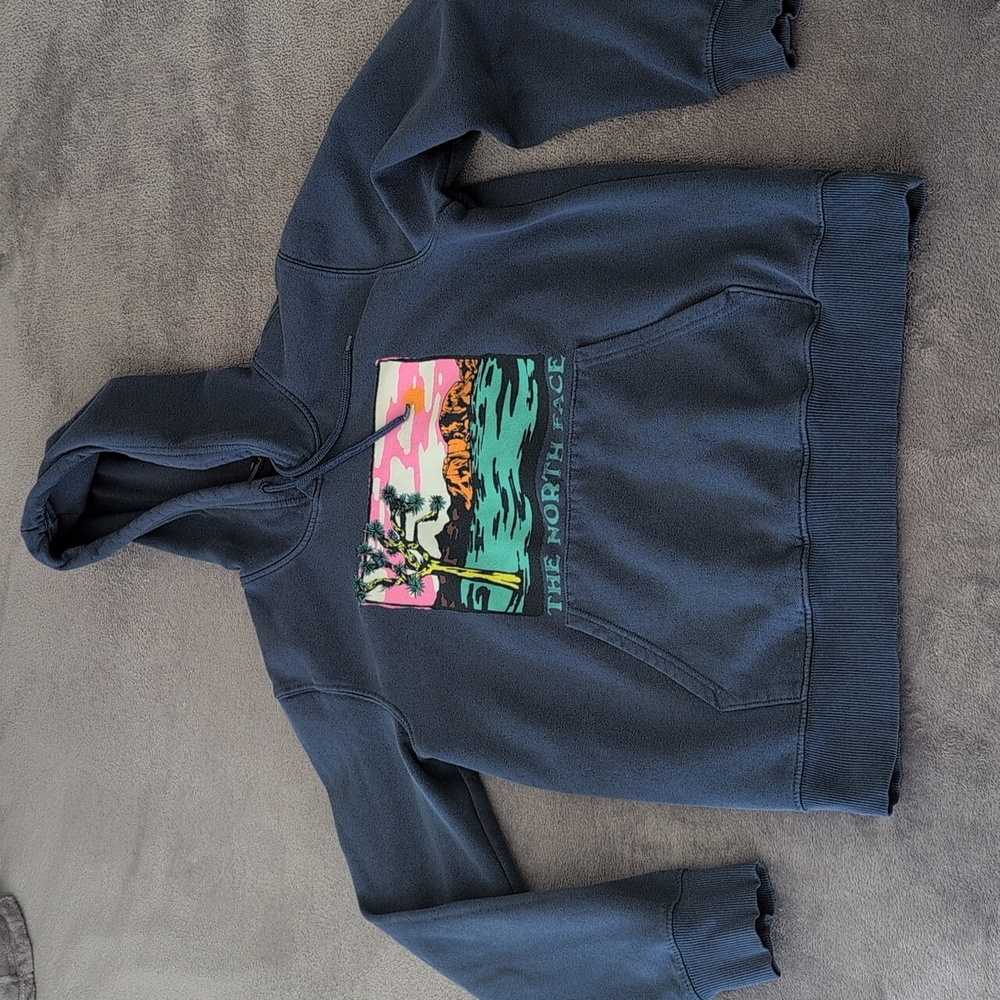 The North Face Hoodie